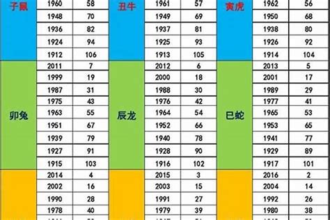 2000年生肖五行